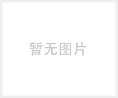 苹果4欧规旅行充电器